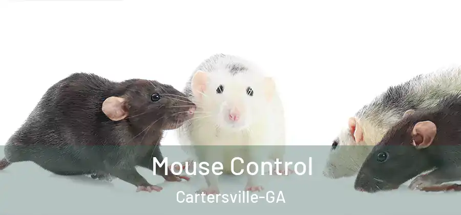  Mouse Control Cartersville-GA