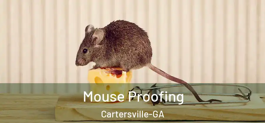  Mouse Proofing Cartersville-GA