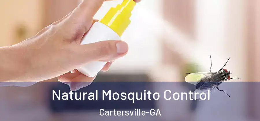  Natural Mosquito Control Cartersville-GA