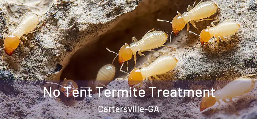  No Tent Termite Treatment Cartersville-GA