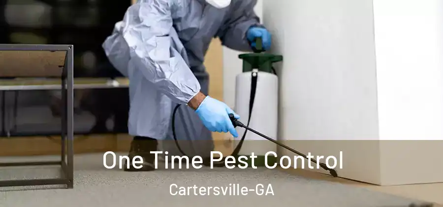  One Time Pest Control Cartersville-GA