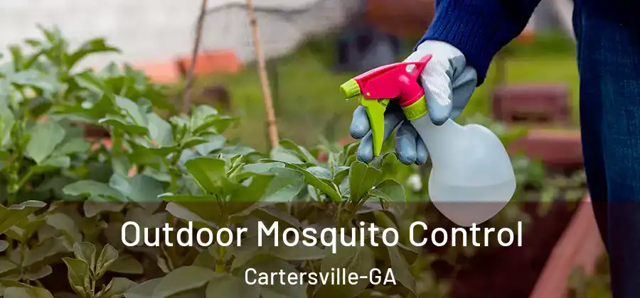  Outdoor Mosquito Control Cartersville-GA