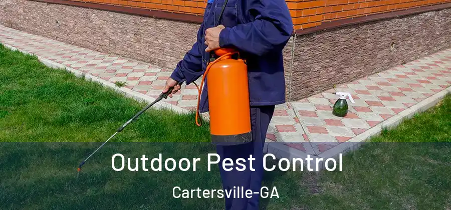 Outdoor Pest Control Cartersville-GA