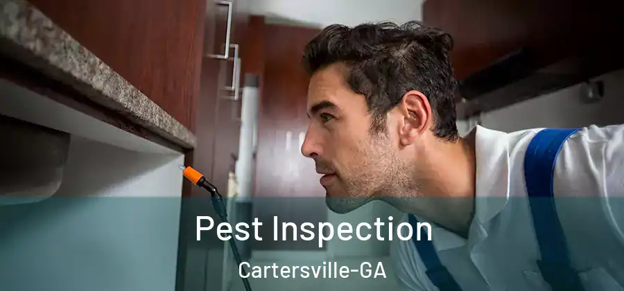 Pest Inspection Cartersville-GA