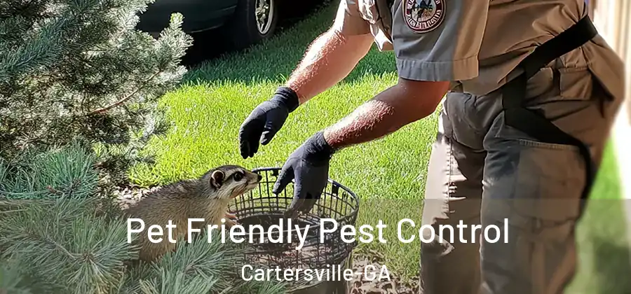  Pet Friendly Pest Control Cartersville-GA