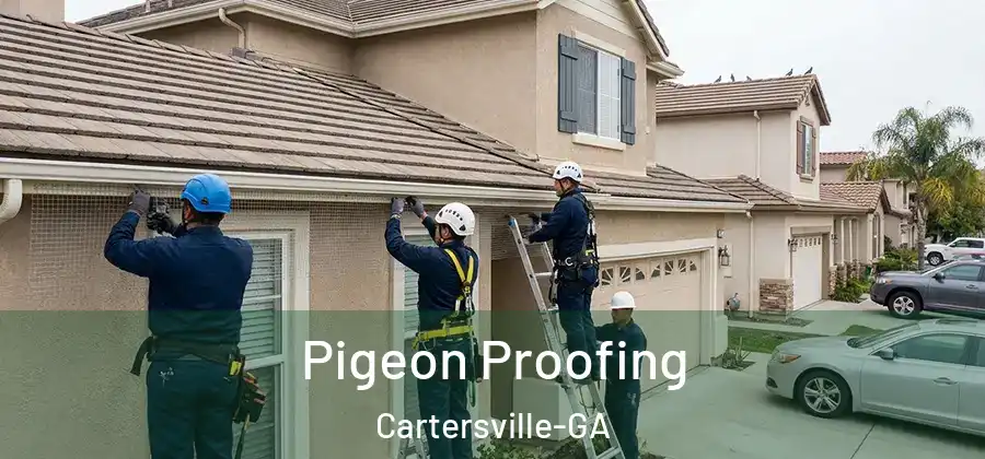  Pigeon Proofing Cartersville-GA