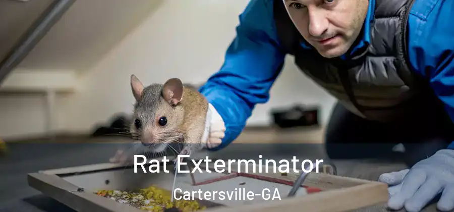 Rat Exterminator Cartersville-GA