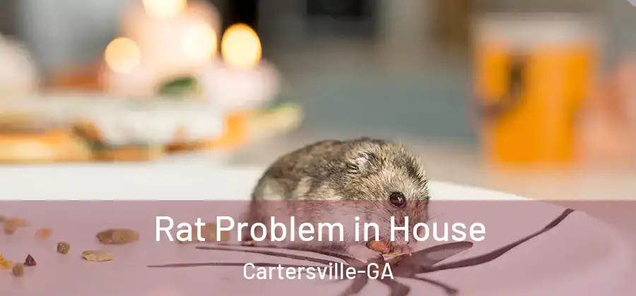  Rat Problem in House Cartersville-GA