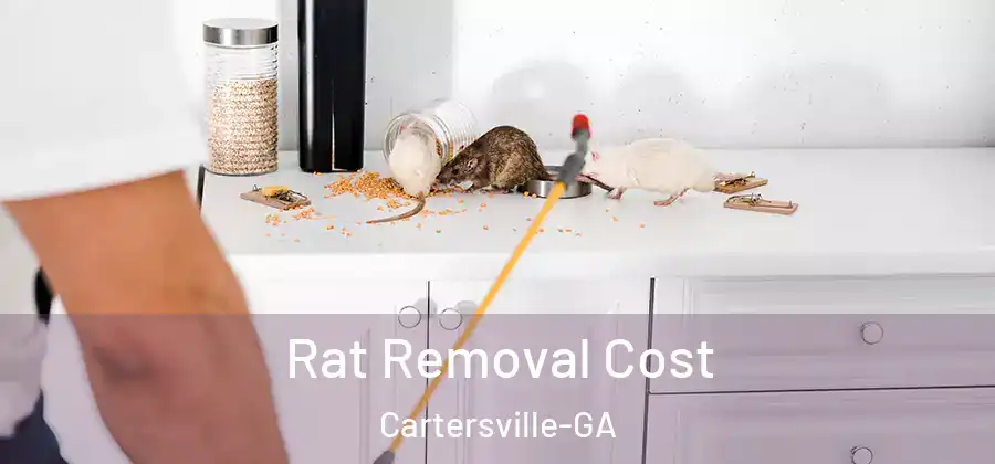Rat Removal Cost Cartersville-GA