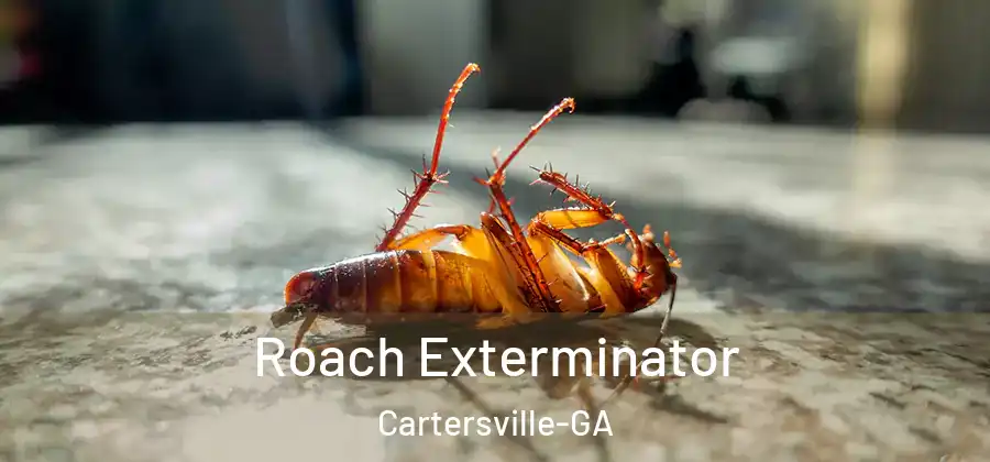  Roach Exterminator Cartersville-GA