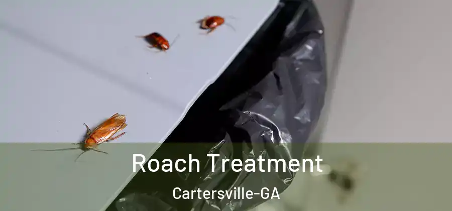  Roach Treatment Cartersville-GA