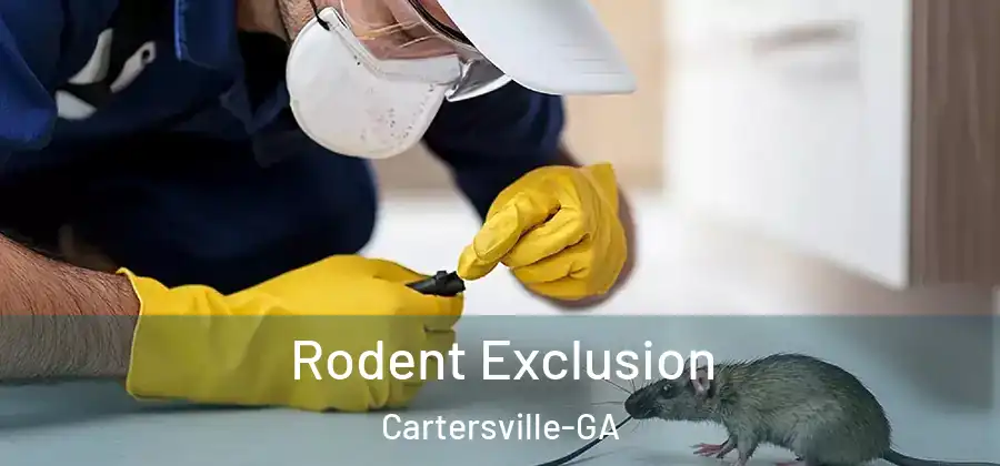  Rodent Exclusion Cartersville-GA