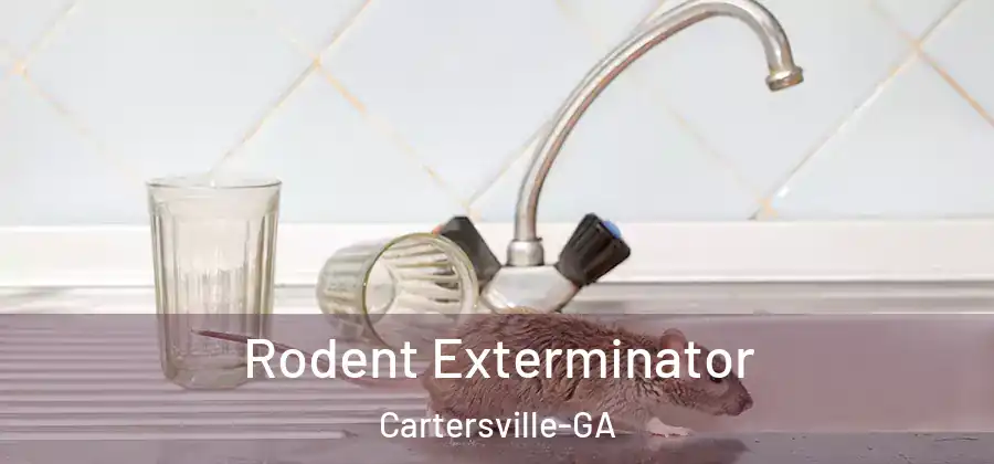  Rodent Exterminator Cartersville-GA