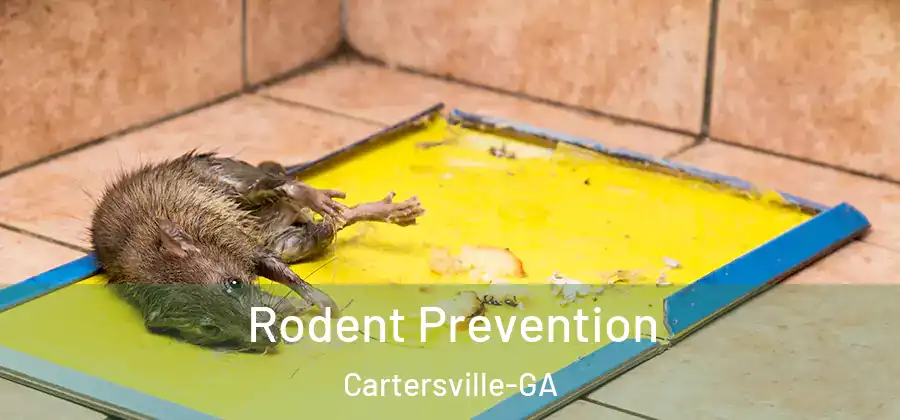  Rodent Prevention Cartersville-GA