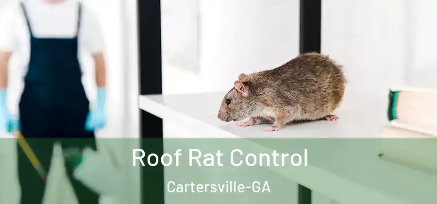  Roof Rat Control Cartersville-GA