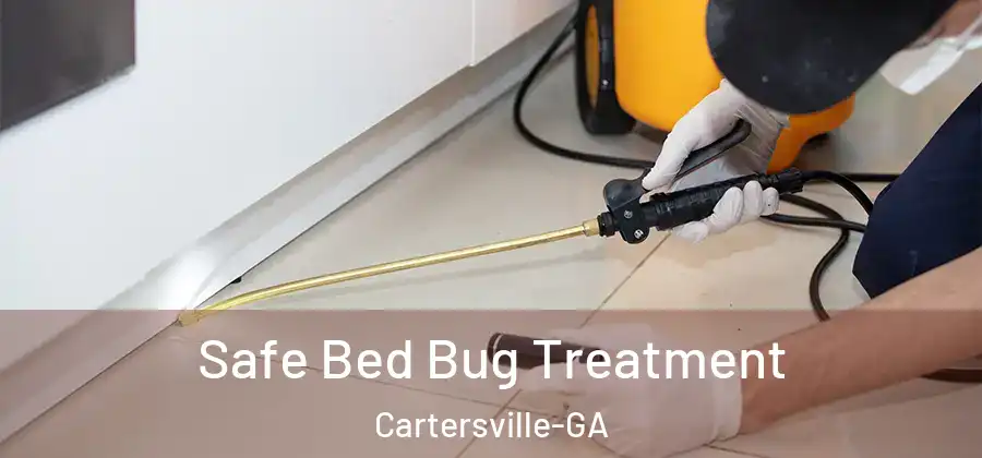  Safe Bed Bug Treatment Cartersville-GA