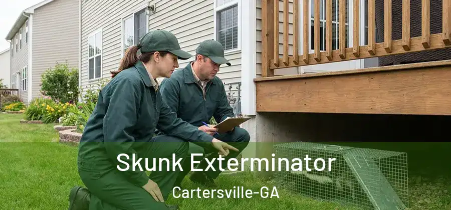  Skunk Exterminator Cartersville-GA