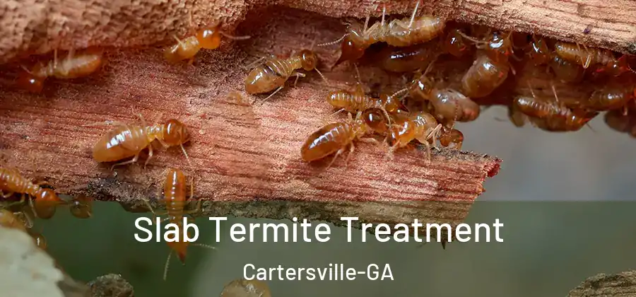  Slab Termite Treatment Cartersville-GA