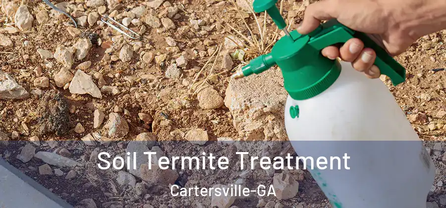  Soil Termite Treatment Cartersville-GA