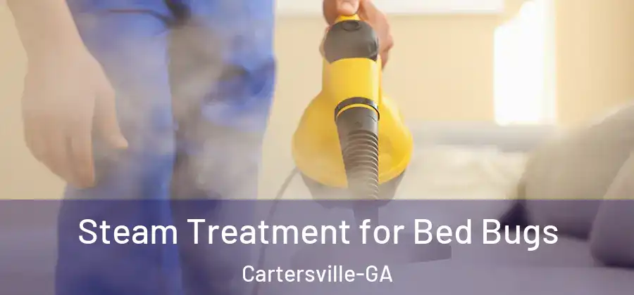  Steam Treatment for Bed Bugs Cartersville-GA