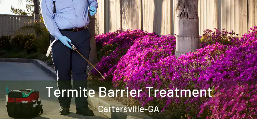  Termite Barrier Treatment Cartersville-GA
