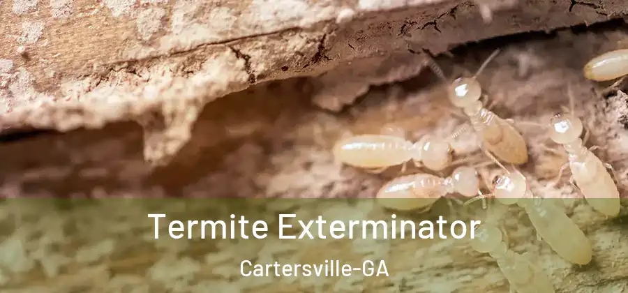 Termite Exterminator Cartersville-GA