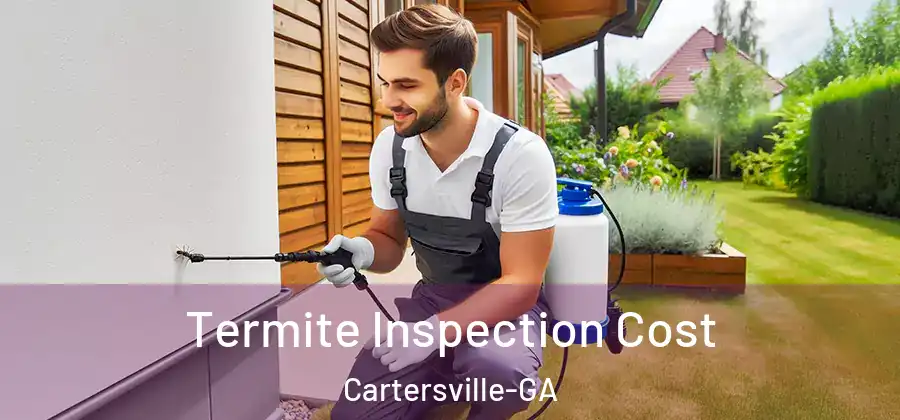 Termite Inspection Cost Cartersville-GA