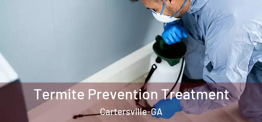 Termite Prevention Treatment Cartersville-GA