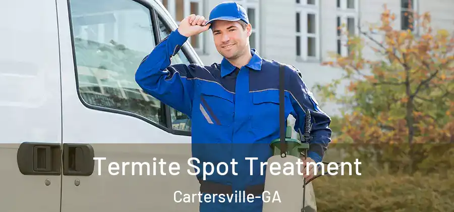  Termite Spot Treatment Cartersville-GA