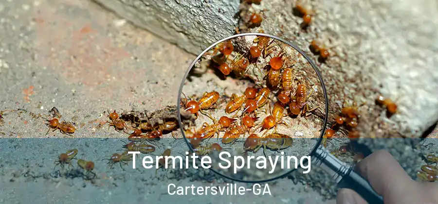  Termite Spraying Cartersville-GA
