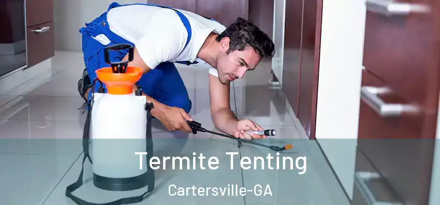 Termite Tenting Cartersville-GA