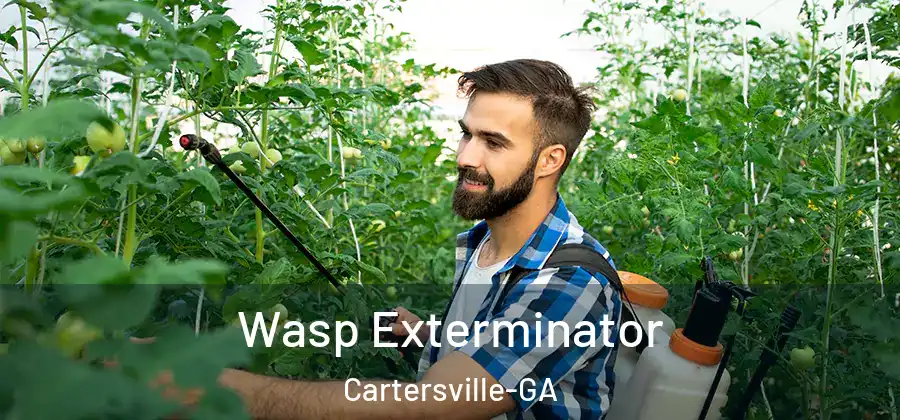  Wasp Exterminator Cartersville-GA