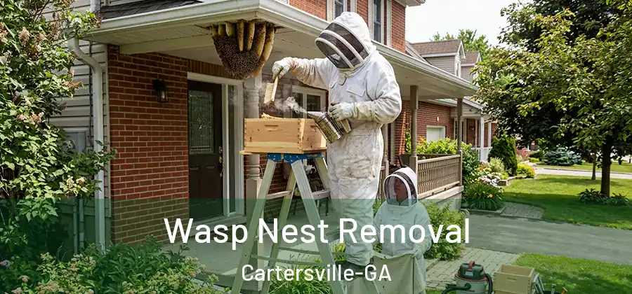  Wasp Nest Removal Cartersville-GA