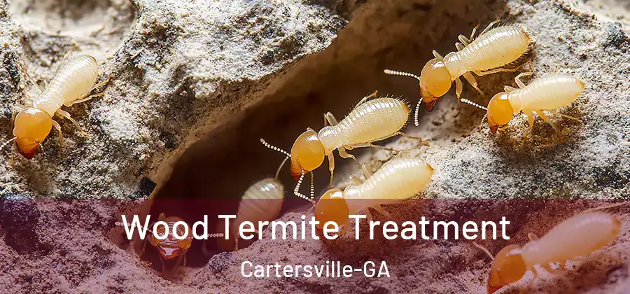  Wood Termite Treatment Cartersville-GA
