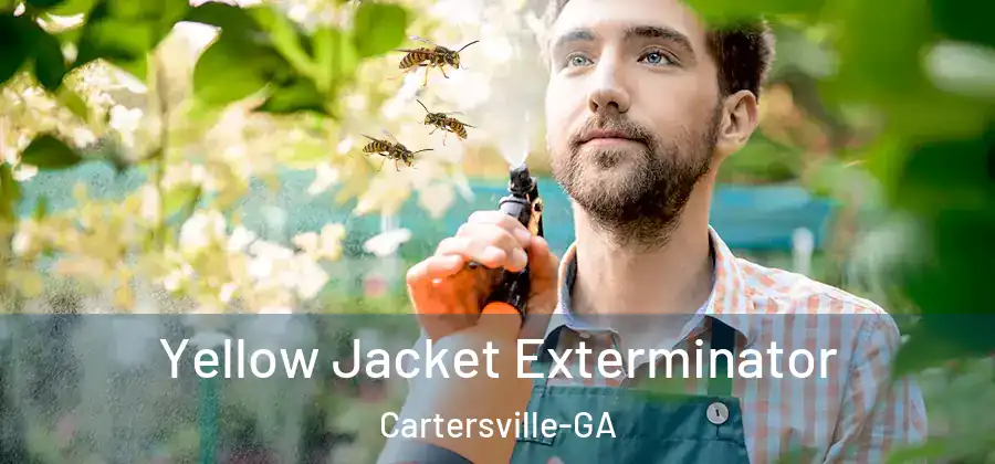  Yellow Jacket Exterminator Cartersville-GA